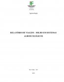 RELATÓRIO DE VIAGEM – MILHO EM SISTEMAS AGROECOLÓGICOS  