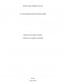 A OPERAÇÃO CHUMBO FUNDIDO: A dialética entre legalidade e ilegalidade.