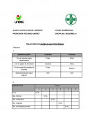 RELATÓRIO DE QUÍMICA DAS PROTEÍNAS