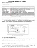 A Prática Contábil - Sistemas de Informação Contábil