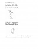 Os Exercícios de Mecânica Geral