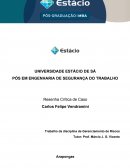 Resenha Crítica do Caso Gerenciamento de Riscos