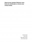 OS CÃES DE RAÇA LABRADOR COMO FORMA DE CONTRIBUIÇÃO NA VIDA DE UMA CRIANÇA AUTISTA.