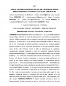 ANÁLISE DAS IRREGULARIDADES QUE AFETAM A MOBILIDADE URBANA