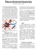 O Estudo dos Neurotransmissores e do SNC