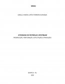 ATIVIDADE DO PETRÓLEO UPSTREAM PROSPECÇÃO, PERFURAÇÃO, EXPLOTAÇÃO E PRODUÇÃO