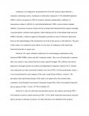 BRAIN FUNCTIONAL CONNECTIVITY CHANGES AFTER A LOW DOSE OF AYAHUASCA INTAKE IN EXPERT USERS