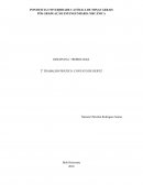 Relatório Prático: Tribologia