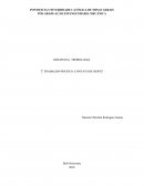 Relatório Prático: Tribologia