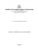 Relatório Instituto de Ciências Exatas e de Informática