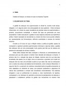 Gestão de Estoque: Um Estudo de Caso na Empresa Trigomel