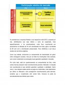 Matriz BCG e SWOT Nakata