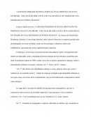 “A (DES)NECESSIDADE DE REGULAMENTAÇÃO DA DISPENSA COLETIVA NO BRASIL: UMA ANÁLISE SOB A ÓTICA DO VALOR SOCIAL DO TRABALHO E DA DIGNIDADE DA PESSOA HUMANA”