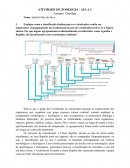 Lista de Exercício Chordata (Zoologia)