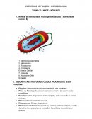 EXERCÍCIO MICROBIOLOGIA E PARASITOLOGIA