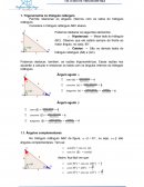 A Trigonometria no Triângulo Retângulo