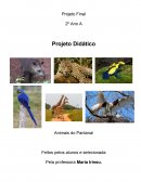 O PROJETO PANTANAL