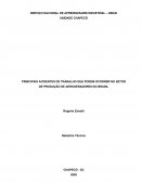 PRINCIPAIS ACIDENTES DE TRABALHO QUE PODEM OCORRER NO SETOR DE PRODUÇÃO DE AEROGERADORES NO BRASIL