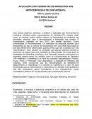 APLICAÇÃO DAS FERRAMENTAS DE MARKETING NAS MICRO EMPRESAS DE SANTARÉM - PA