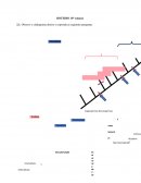 Observe o cladograma abaixo e responda as seguintes perguntas.