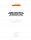 Análise Crítica das Competências dos Fisioterapeutas no Brasil