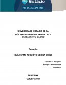 Resenha Artigo Fundos Hídricos: Financiando a Habilidade da Natureza de Proteger Recursos Hídricos