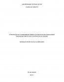 A PROTEÇÃO DO CONSUMIDOR FRENTE ÀS PRÁTICAS DE PUBLICIDADE ENGANOSA DIANTE DOS CONTRATOS DE ADESÃO