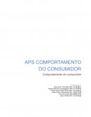 A Gestão de Tempo Comportamento do Consumidor