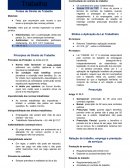 Resumo Introdutório de Direito do Trabalho Para Concursos