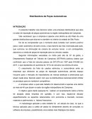 Estudo de Caso Distribuidora de Peças Automotiva