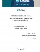 Estudo de Caso Administrando a Cidade Resenha Crítica