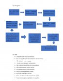 Mapa Mental Digitalizado