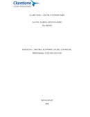 A HISTÓRIA ECONÔMICA GERAL E DO BRASIL