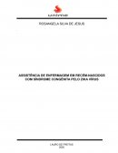 ASSISTÊNCIA DE ENFERMAGEM EM RECÉM-NASCIDOS COM SÍNDROME CONGÊNITA PELO ZIKA VÍRUS