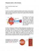 Pesquisa sobre o olho humano