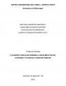 O ACIDENTE VASCULAR CEREBRAL E SEUS IMPACTOS NO COTIDIANO: O OLHAR DO CUIDADOR FAMILIAR