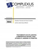 TRATAMENTO DE EFLUENTES: COMPARATIVO ENTRE LODO ATIVADO E JARDINS FILTRANTES