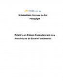 Relatório de Estágio Supervisionado dos Anos Iniciais do Ensino Fundamental