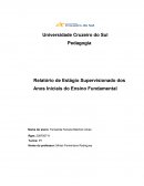 Relatório de Estágio Supervisionado dos Anos Iniciais do Ensino Fundamental