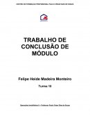 TRABALHO DE CONCLUSÃO DE MÓDULO