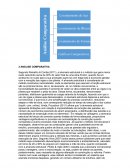 A ANÁLISE COMPARATIVA