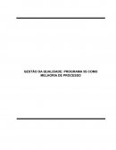 GESTÃO DA QUALIDADE: PROGRAMA 5S COMO MELHORIA DE PROCESSO