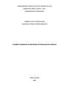 Processo Químico da Produção de Cerveja