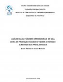 ANÁLISE DAS ATIVIDADES OPERACIONAIS DE UMA LINHA DE PRODUÇÃO VIZANDO OTIMIZAR A ROTINA E AUMENTAR SUA PRODUTIVIDADE