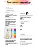 A Homeopatia Resumo