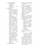 O Sistema de Informação no Ambiente Organizacional