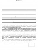 Relatório de Observação - Aula Prática - Exemplo