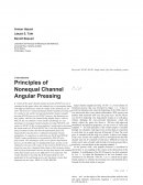 Principles of Nonequal Channel Angular Pressing