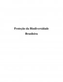 A Proteção da Biodiversidade Brasileira