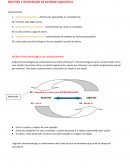 Resumos Filosofia Descrição e Interpretação da Atividade Cognoscitiva